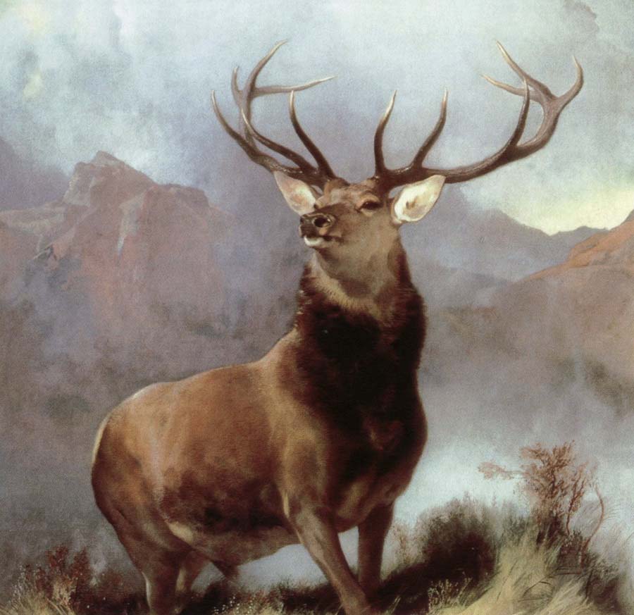 monarch of the glen